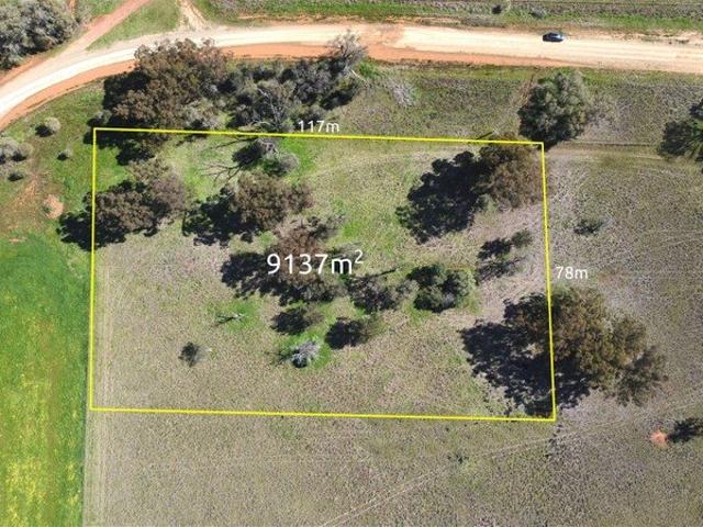 Land for sale in Peak Hill, New South Wales