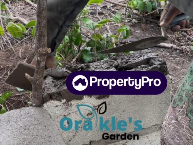 Flat for rent in Ijebu Ode