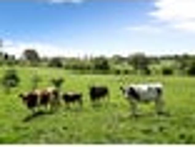 Land for sale in Rukuhia, Waikato
