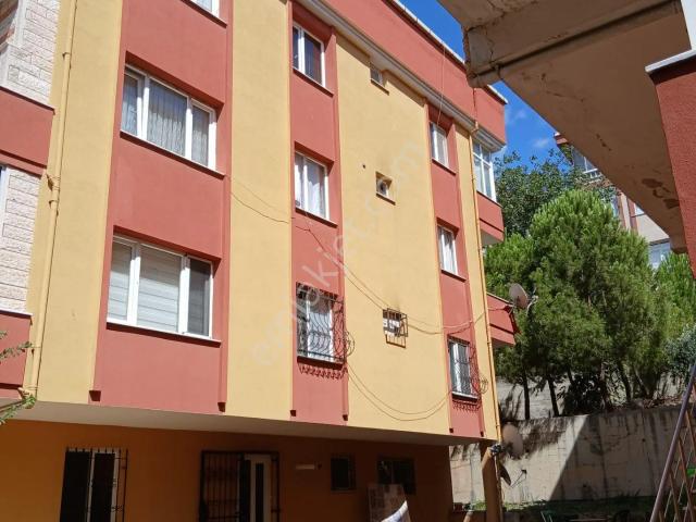 Büyükçekmece, İstanbul içerisinde kiralık mülk