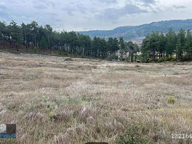 Büyükorhan, Bursa içerisinde satılık Arsa