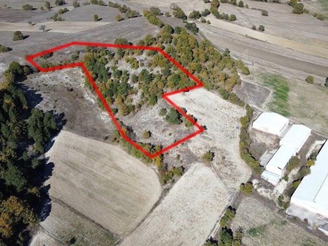 Kavacık, Dursunbey içerisinde satılık Arsa