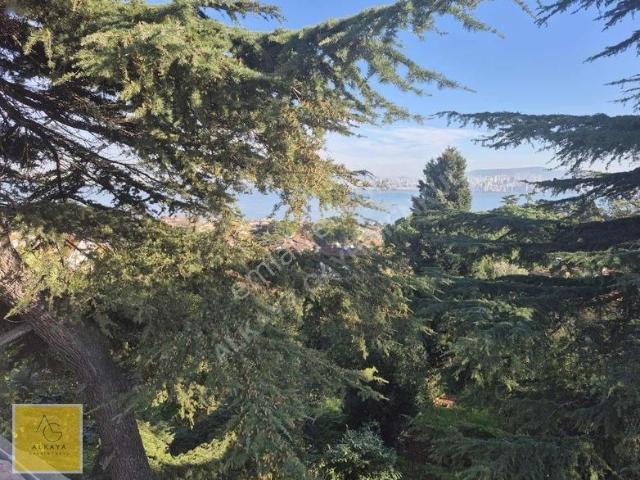 Adalar, İstanbul içerisinde satılık mülk