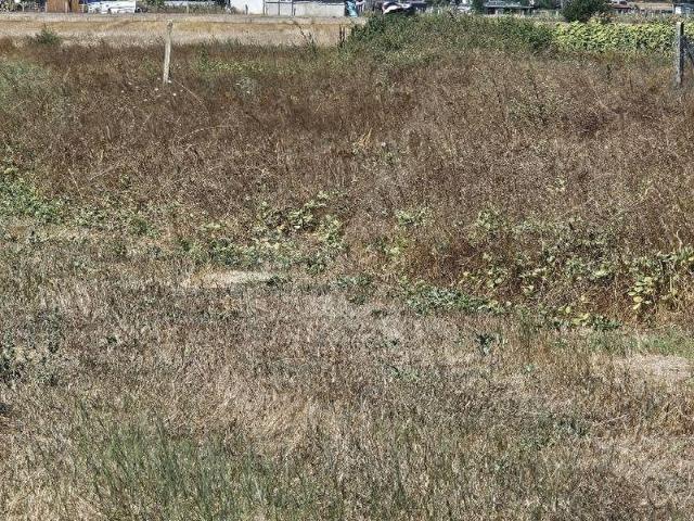 Saray, Tekirdağ içerisinde satılık Arsa
