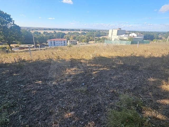 Saray, Tekirdağ içerisinde satılık Arsa