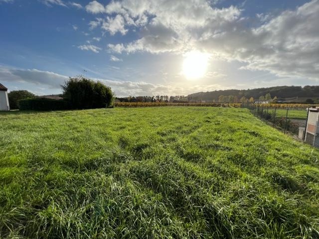 Terrain vente à Buzet-sur-baïse