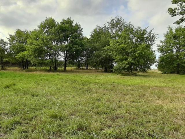 Terrain vente à France métropolitaine, Buzet-sur-baïse