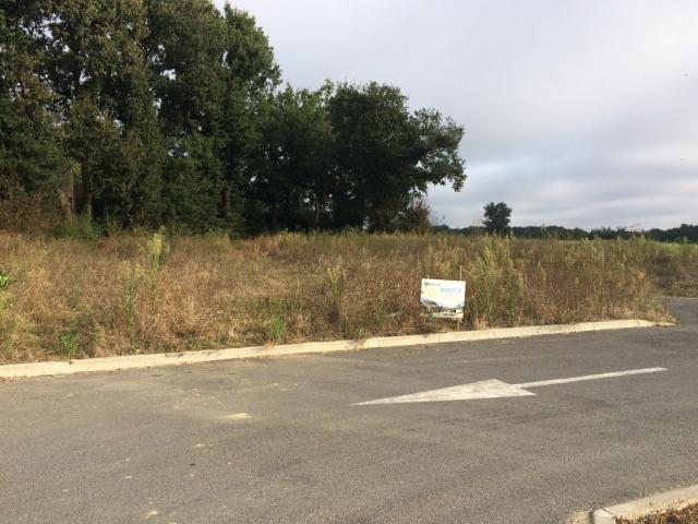 Terrain vente à Toulouse, Buzet-sur-tarn