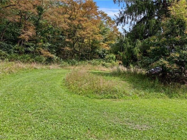 Land for sale in Wellsville, Ohio