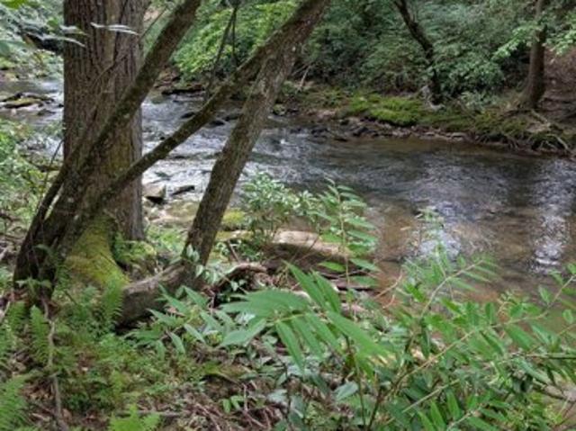 Land for sale in Blairsville Land for sale in Blairsville