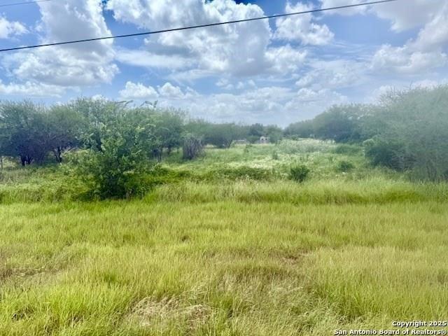 Land for sale in Bee, Texas