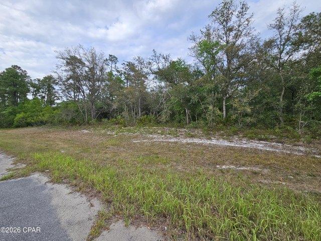 Land for sale in Chipley, Florida