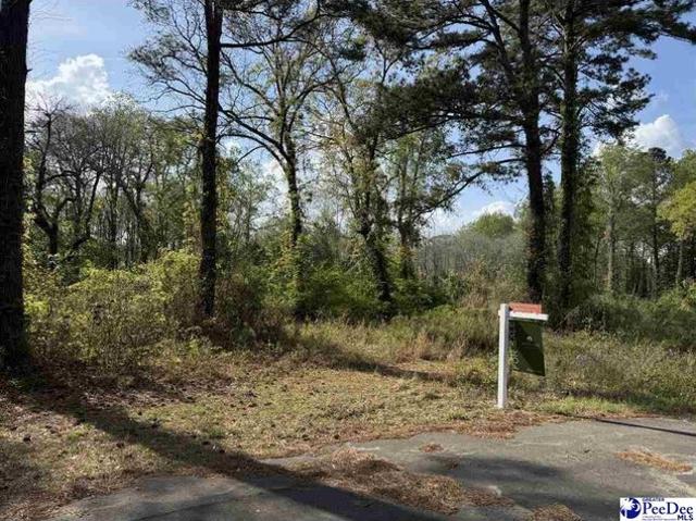 Land for sale in Darlington, South Carolina