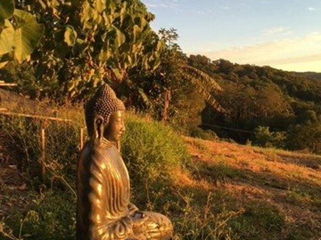 Cottage for rent in Mullumbimby, New South Wales