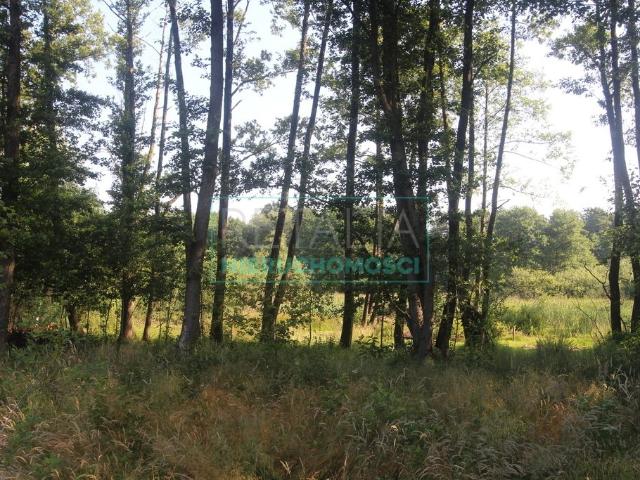 Grunt na sprzedaż w Tarczyn, Mazowieckie