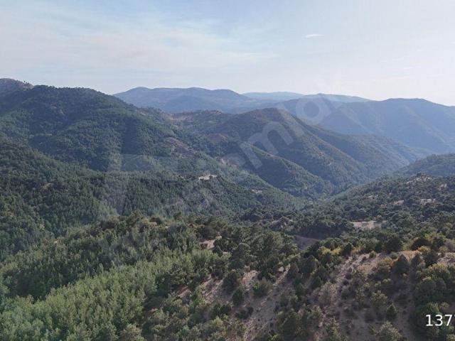 Burhaniye, Balikesir içerisinde satılık Arsa