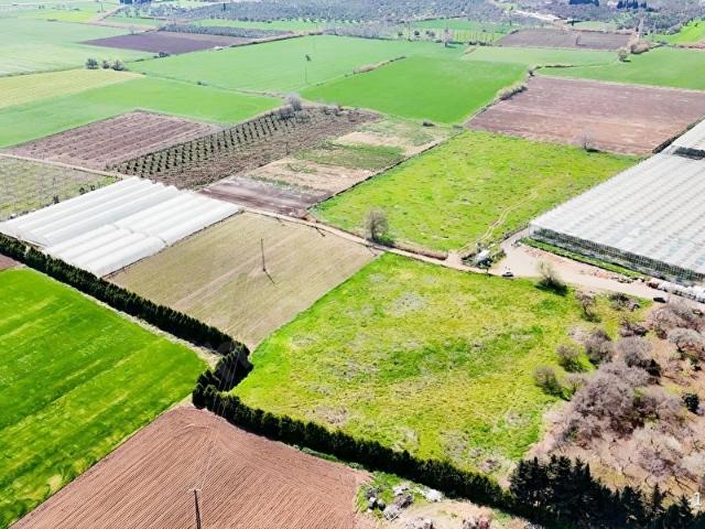 Burhaniye, Balikesir içerisinde satılık Arsa