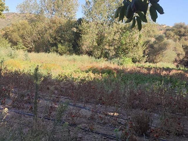 Işıklar, Kepsut içerisinde satılık Arsa