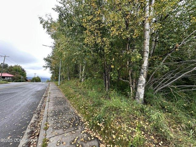 Land for sale in Palmer