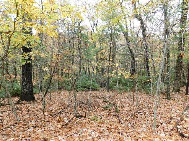 Land for sale in Virginia