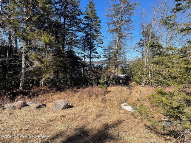 Land for sale in Carbon, Pennsylvania