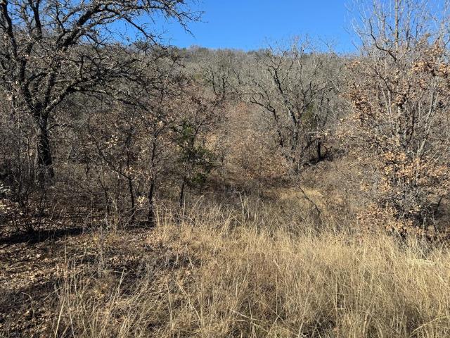 Land for sale in Gordon, Texas