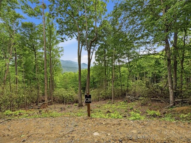 Land for sale in Avery, North Carolina