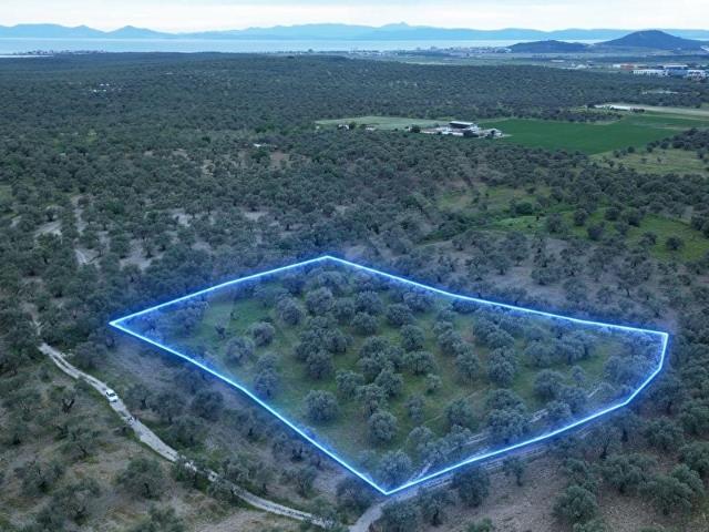 Ayvalik, Balikesir içerisinde satılık mülk