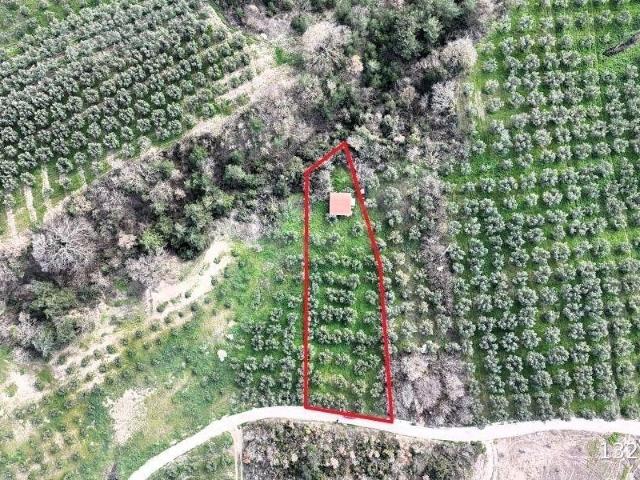 Gemlik, Bursa içerisinde satılık mülk