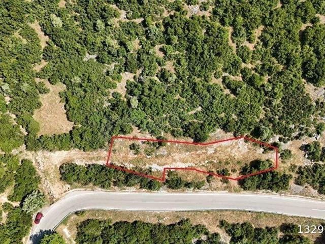 Gemlik, Bursa içerisinde satılık mülk