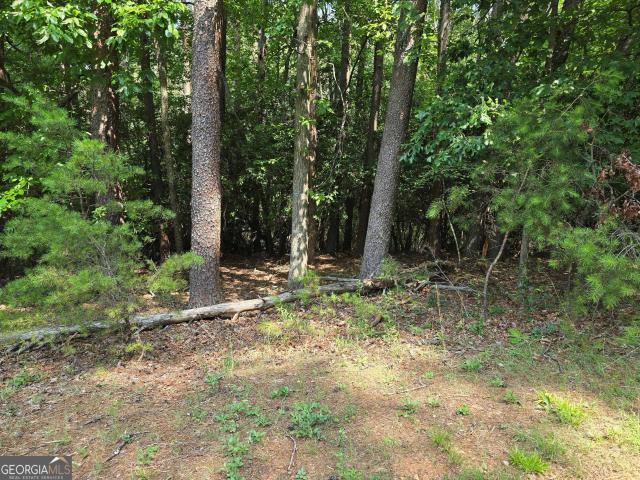 Land for sale in Georgia