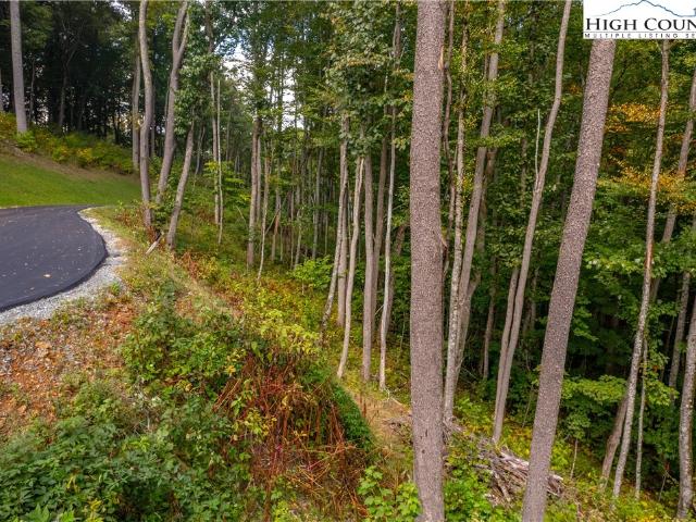 Land for sale in Avery, North Carolina