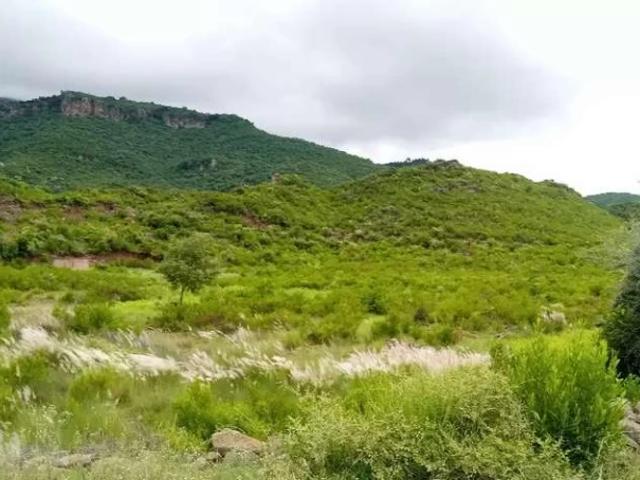 Land for sale in Islamabad