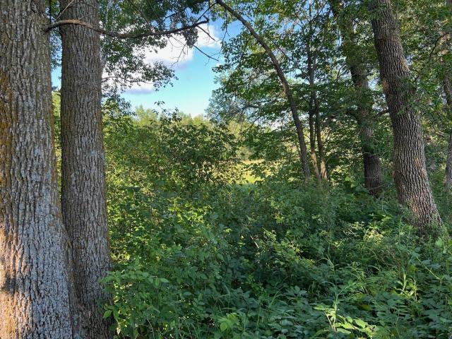 Land for sale in Vergas, Minnesota