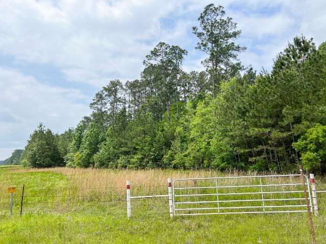 Land for sale in Silsbee, Texas