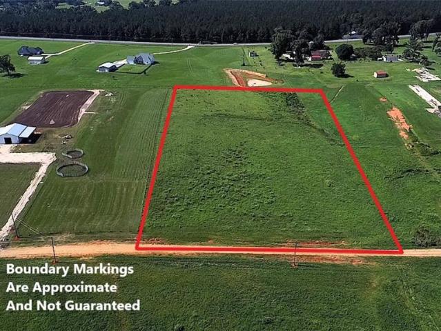 Land for sale in Amite, Louisiana