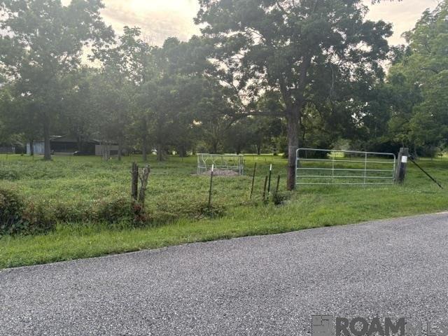 Land for sale in Gonzales, Louisiana