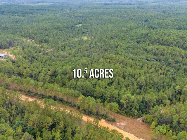 Land for sale in Walton, Florida