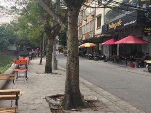 Bất động sản bán tại Đống Đa, Hà Nội