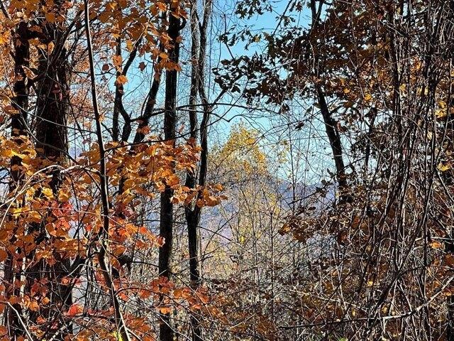 Land for sale in Hayesville