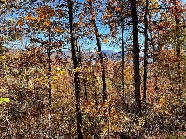 Land for sale in Hayesville, North Carolina