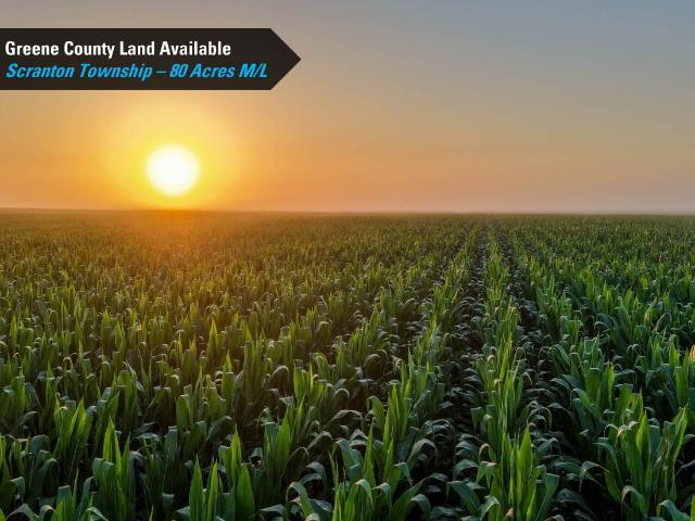 Land for sale in Scranton, Greene County