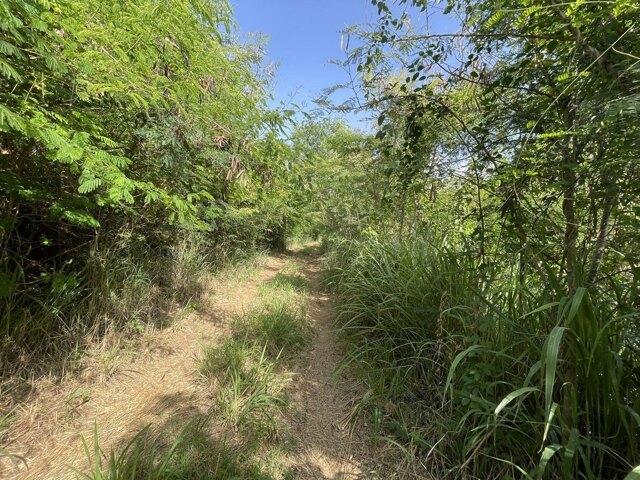Land for sale in Saint Thomas, Missouri