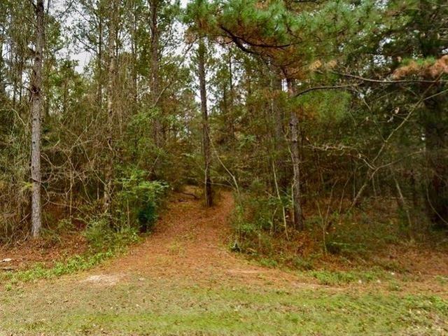 Land for sale in Ponce De Leon, Florida