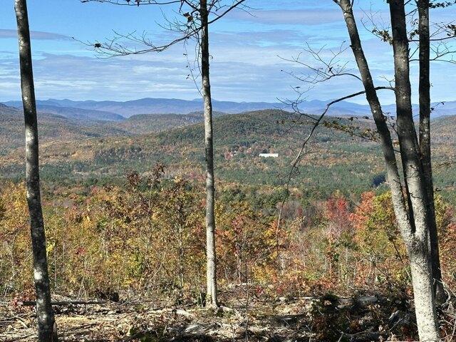 Land for sale in Waterford, Maine