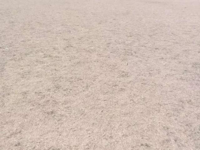 Land for sale in ڈہوک جنڈو, راولپنڈی ڈویژن
