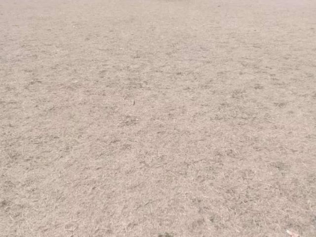 Land for sale in Islamabad