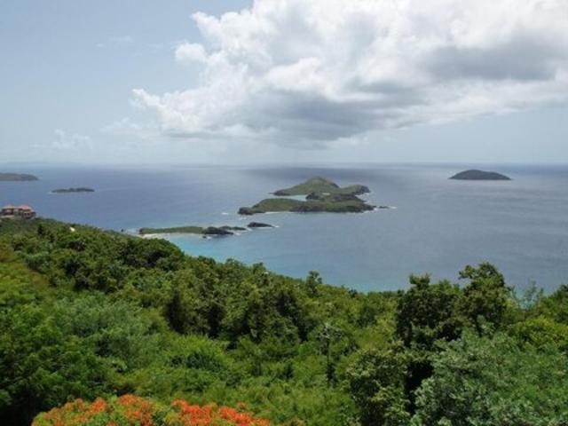 Land for sale in Saint Thomas, Missouri