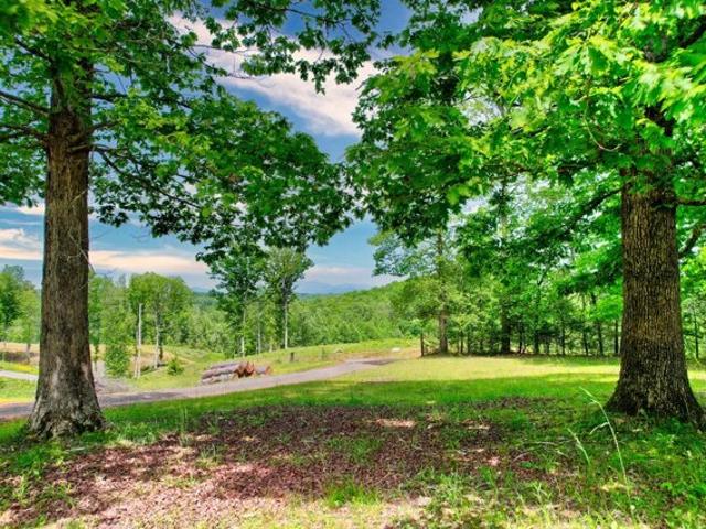 Land for sale in Blue Ridge