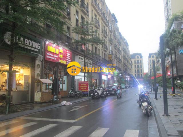 Biệt Thự bán